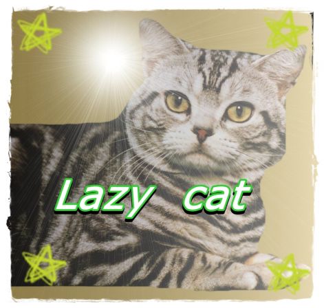 laty_cat.jpg